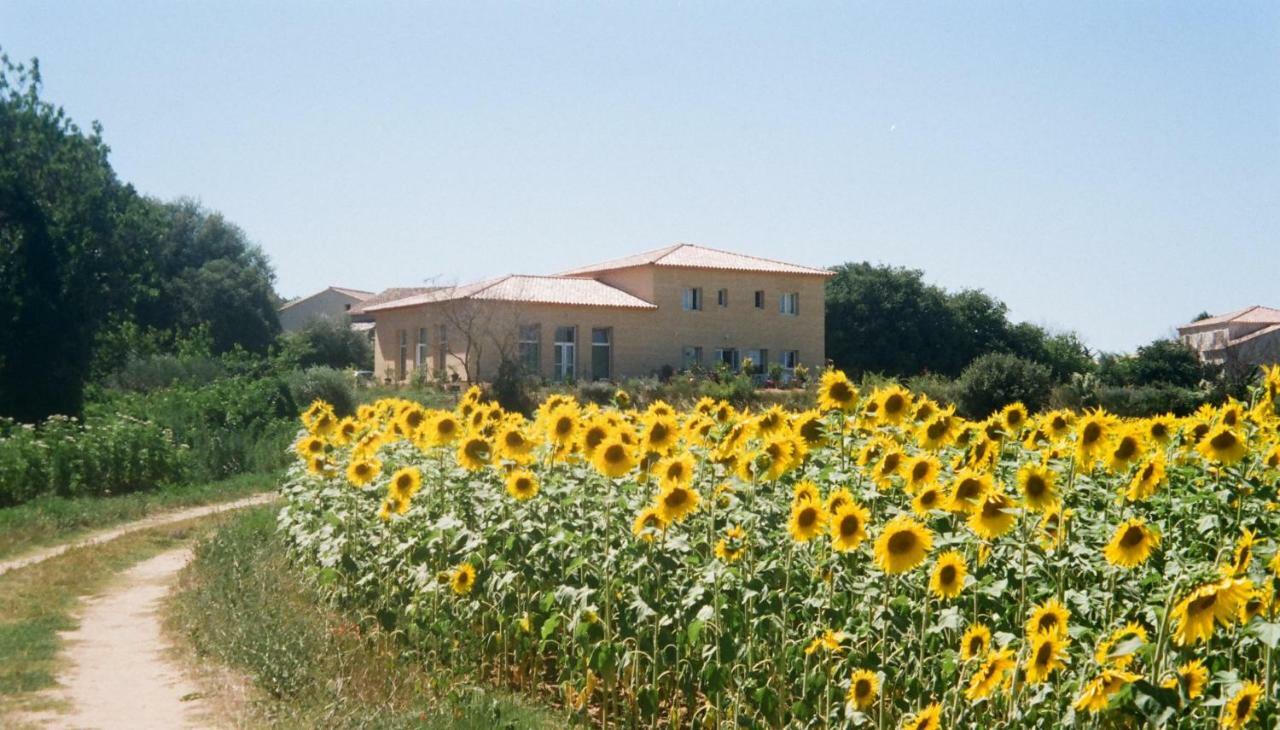 Villa La Charmeuse Fleurie Collias المظهر الخارجي الصورة
